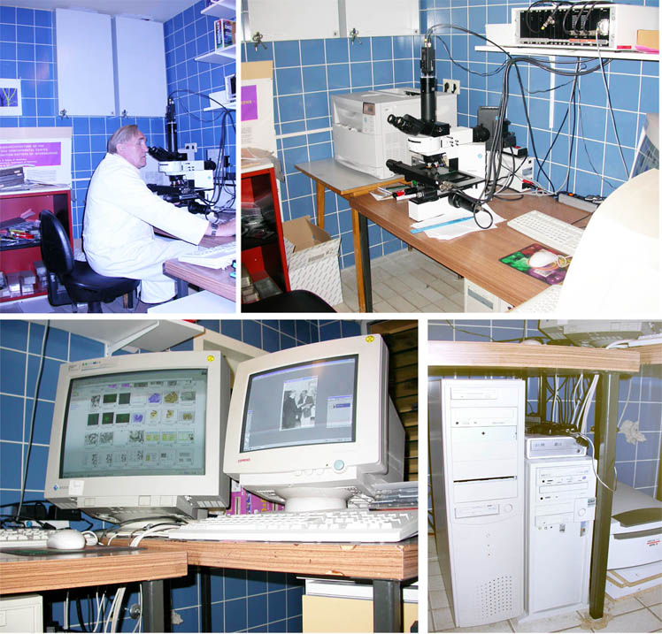 Bildverabeitung Imatec
Digitrace
W&uuml;rzburg